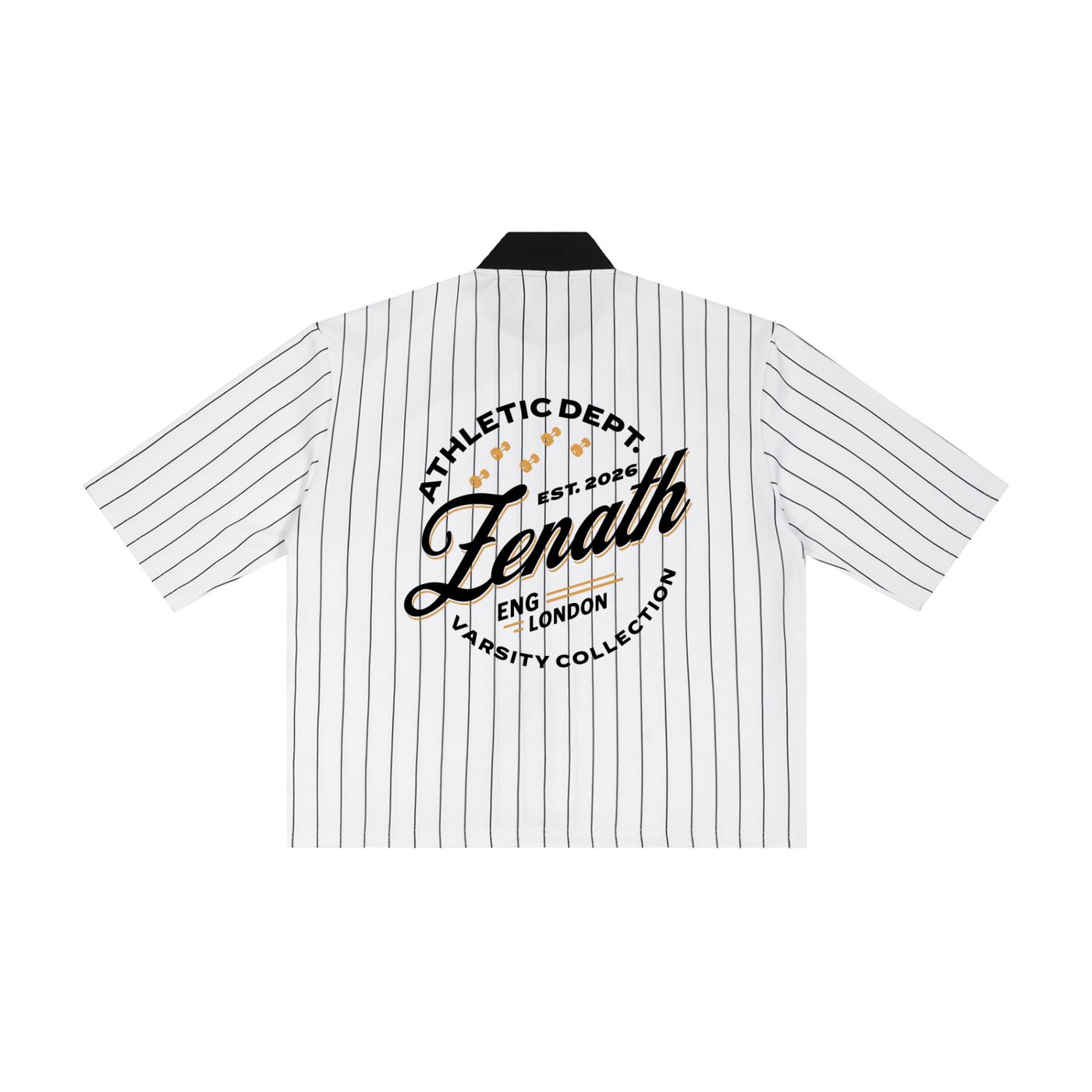 Varsity Script Striped Full-Zip Baseball Jersey